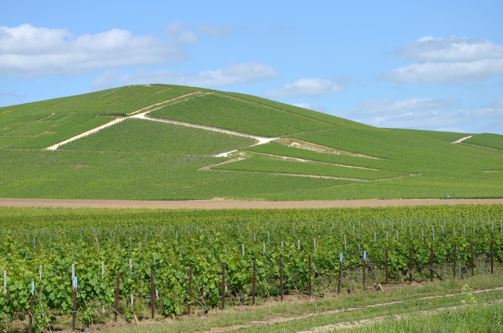 Bollinger