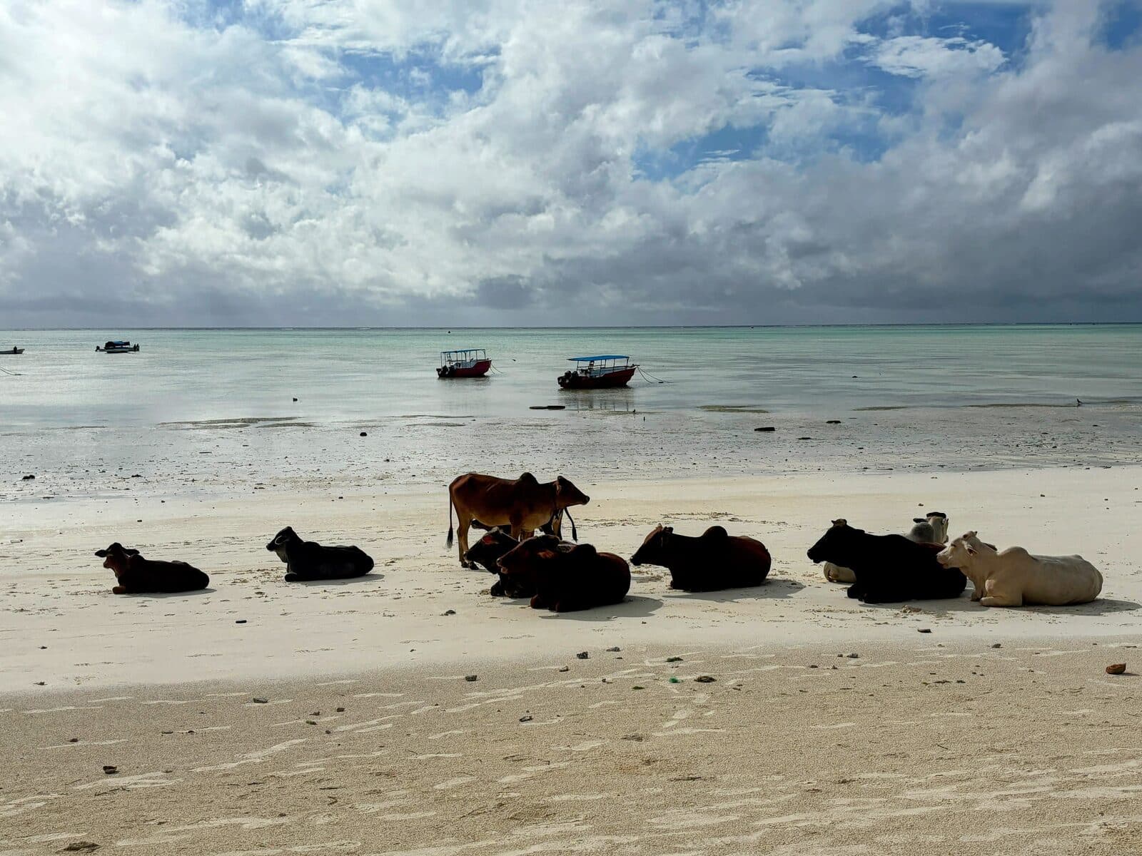 Zanzibar