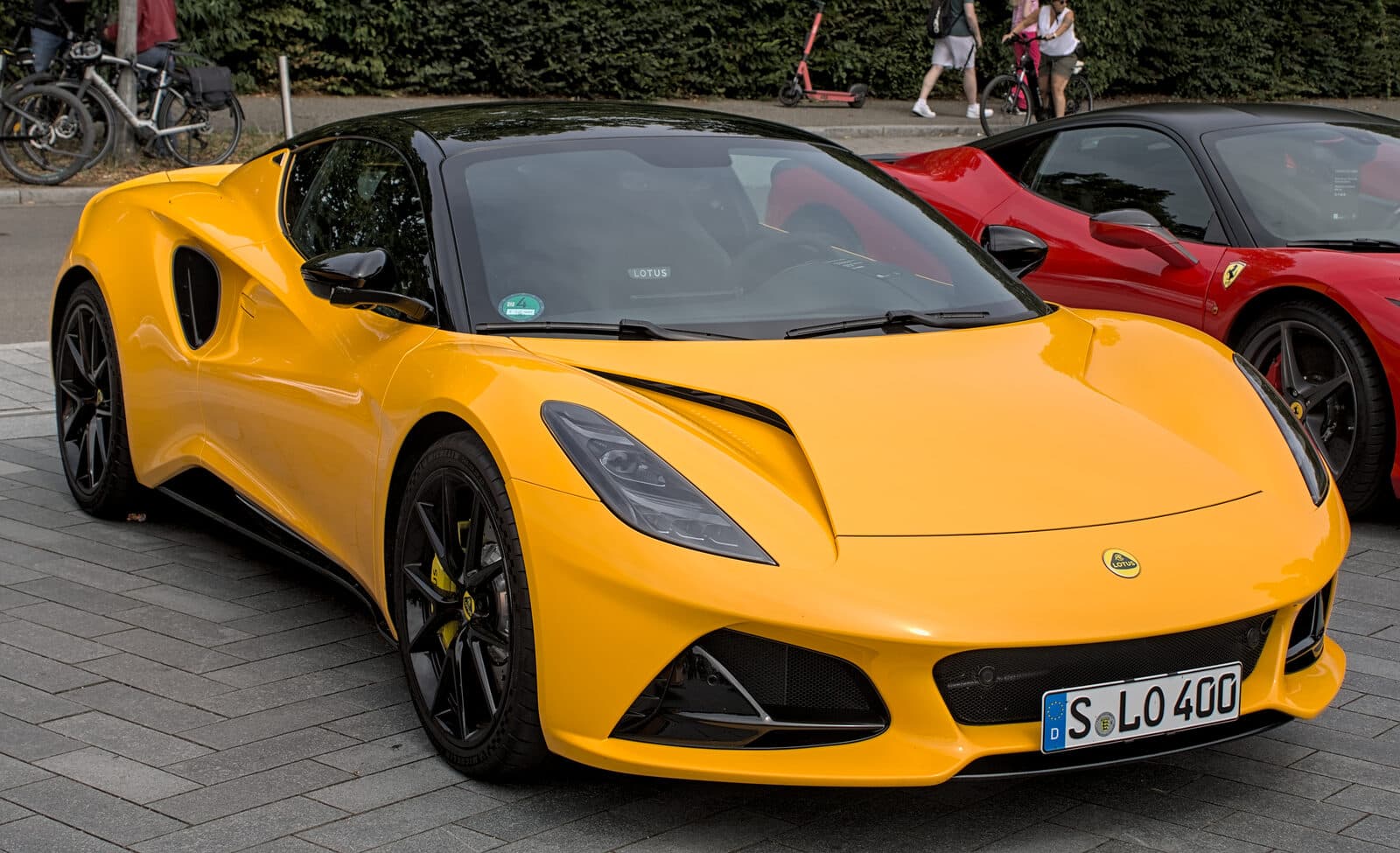 Lotus